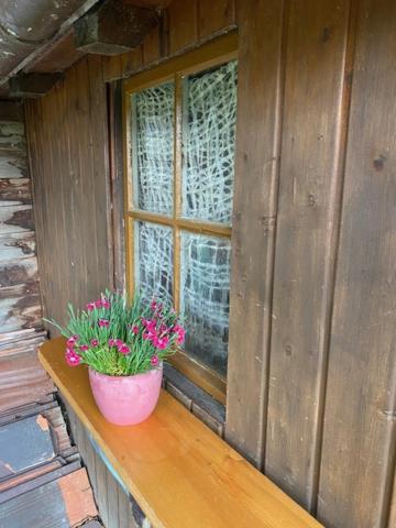 Irene Holiday home *